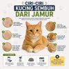 Cara mensterilkan kandang bekas virus