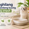 Penghilang bau kandang kucing paling ampuh